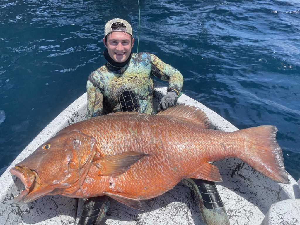 Free-Diver Shatters Cubera Snapper Record