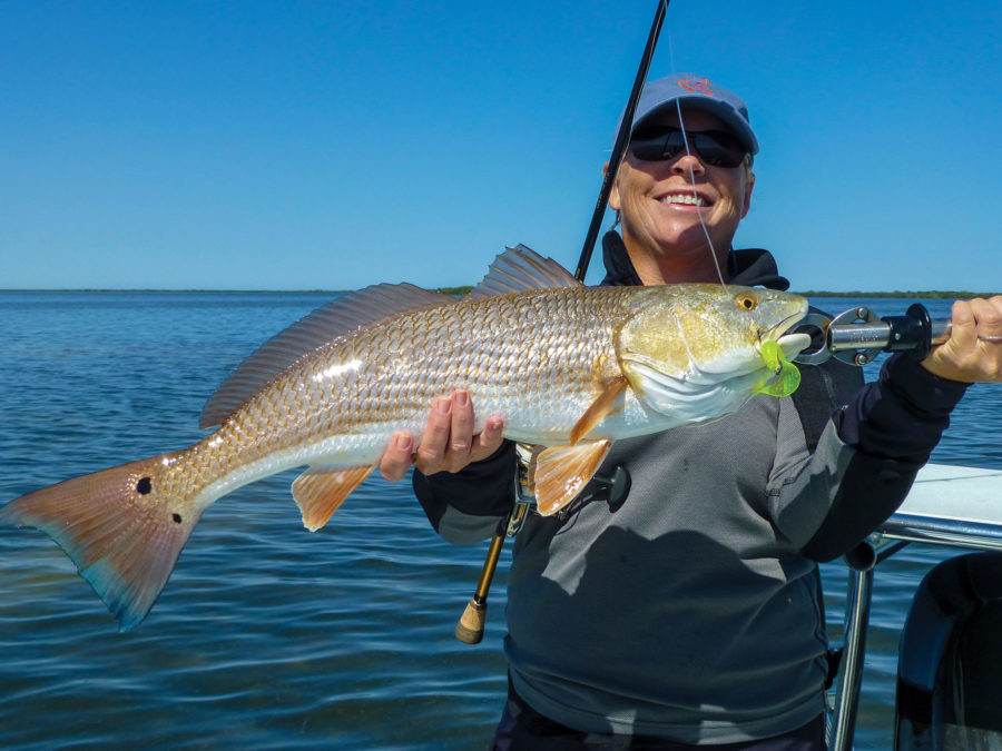 Florida Updates Redfish Regulations