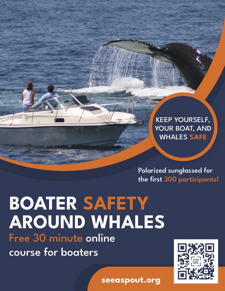 Online Course: Improve Boater Safety Around Whales