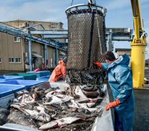 Tax Credit Program Extended for Seafood Processors