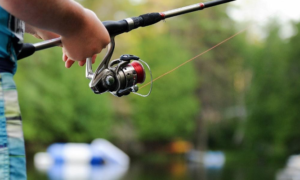 Fishing Tips for Students to Relax: How Fishing Can Help Your Mental State