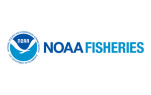 NOAA, Partners Working on Recovery of Oregon Coast Coho Salmon