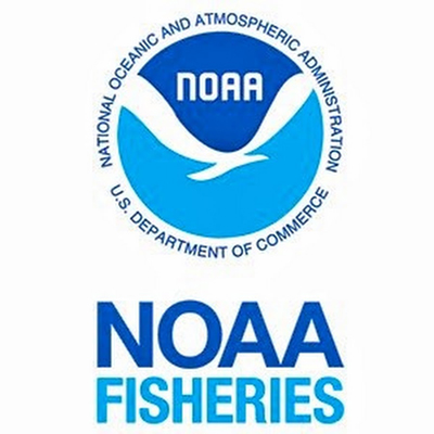 NOAA Seeks Applicants for American Fisheries Advisory Committee