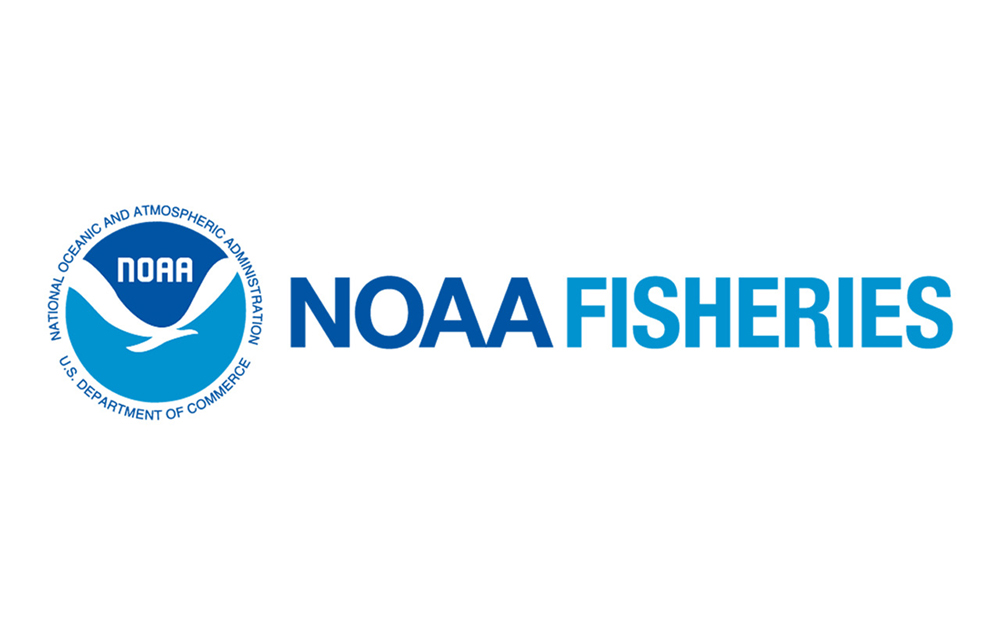 NOAA Study Recommends Steps to Support Young Fishermen