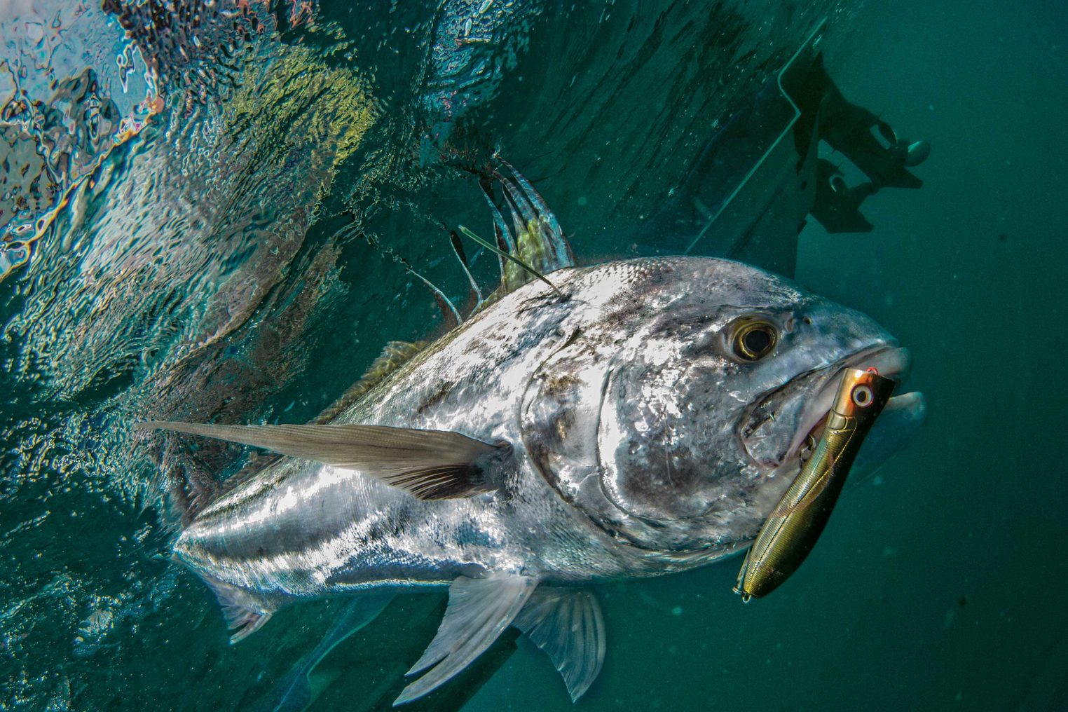10 Biggest Roosterfish Ever Caught