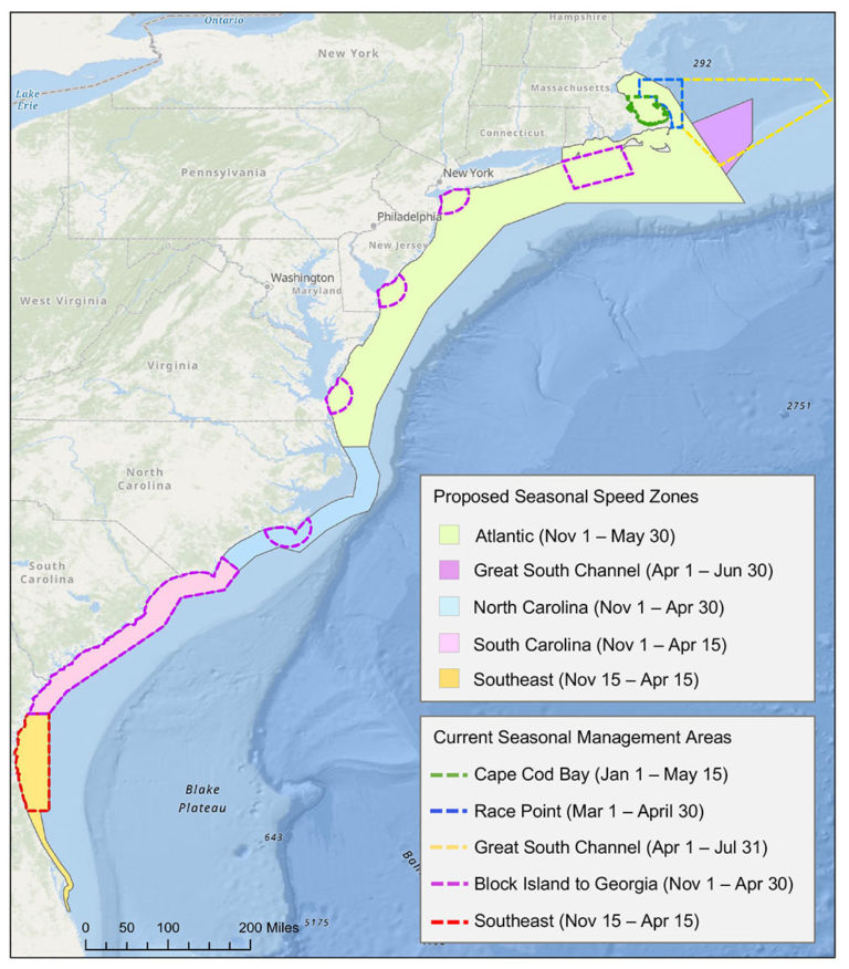 NOAA Proposes Vessel Speed Restrictions to Protect Right Whale
