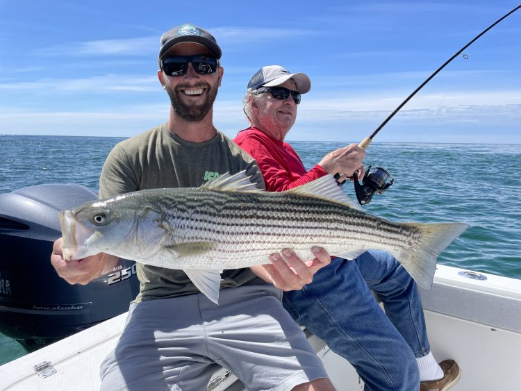 Update: Striped Bass Population Heading in Right Direction