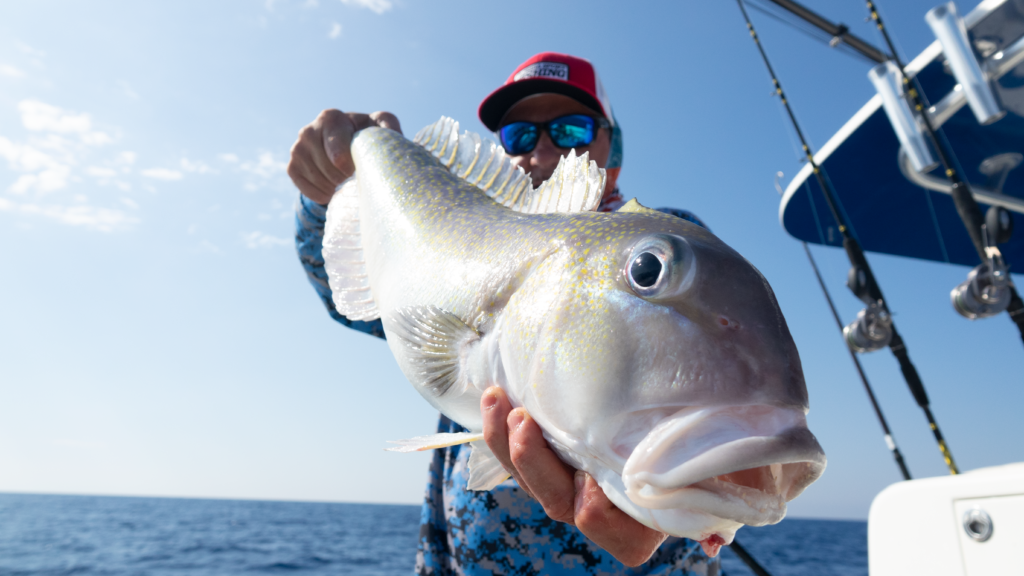 Statewide Tips for Finding and Fooling Golden Tilefish