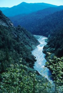 Dam Demolition in California, Oregon Could Help Restore Klamath River Salmon Habitat