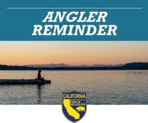 365-Day California Sport Fishing Licenses Are Now Available