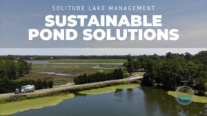 WaterIQ and SOLitude Lake Management Announce Ultrasonic Technologies Distribution Partnership