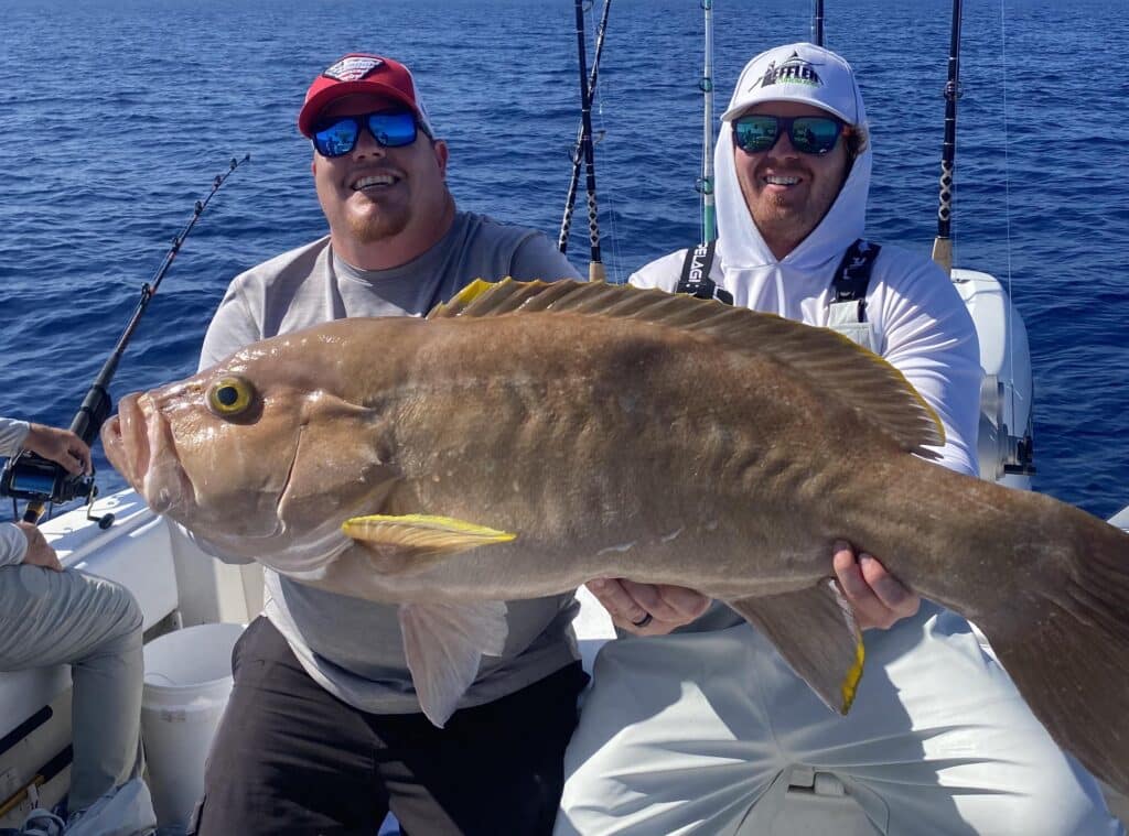 Massive Yellowedge Grouper Just Misses Record