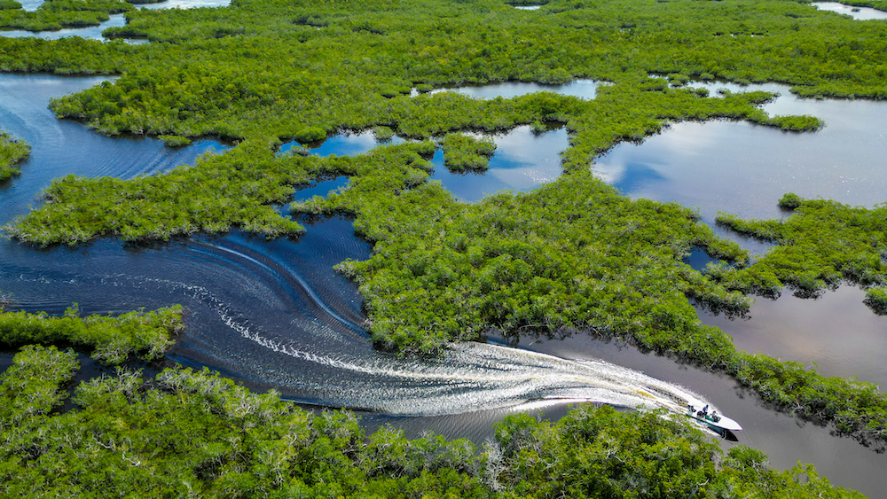 Tips for Fishing the Inshore Waters of Everglades National Park