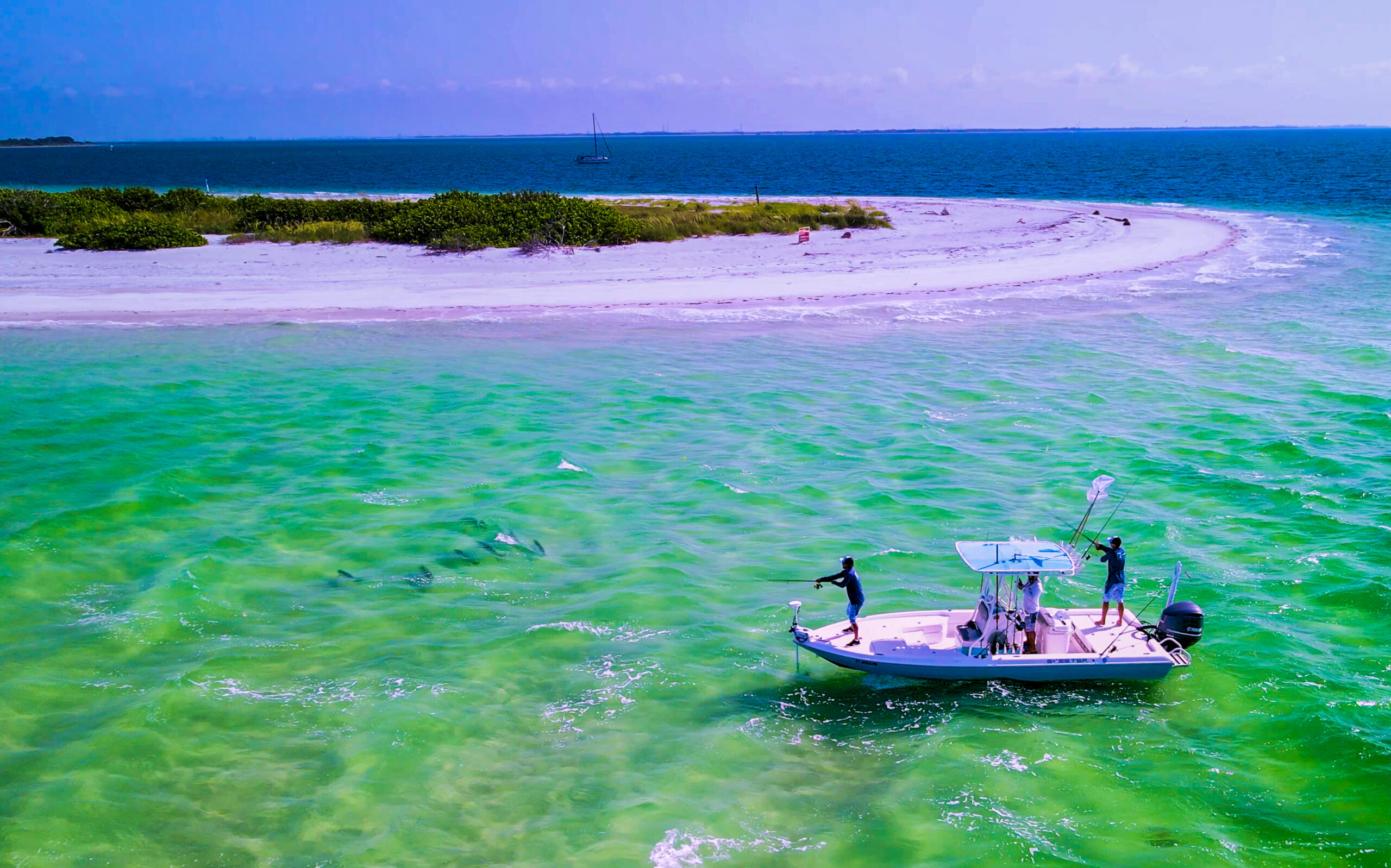 Everything You Need to Know About Spring Tarpon Fishing in South Florida