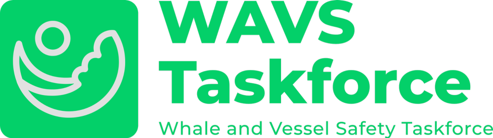 Marine Industry stakeholders form Whale and Vessel Safety Task Force