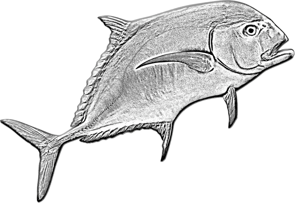 Pompano on a Fly