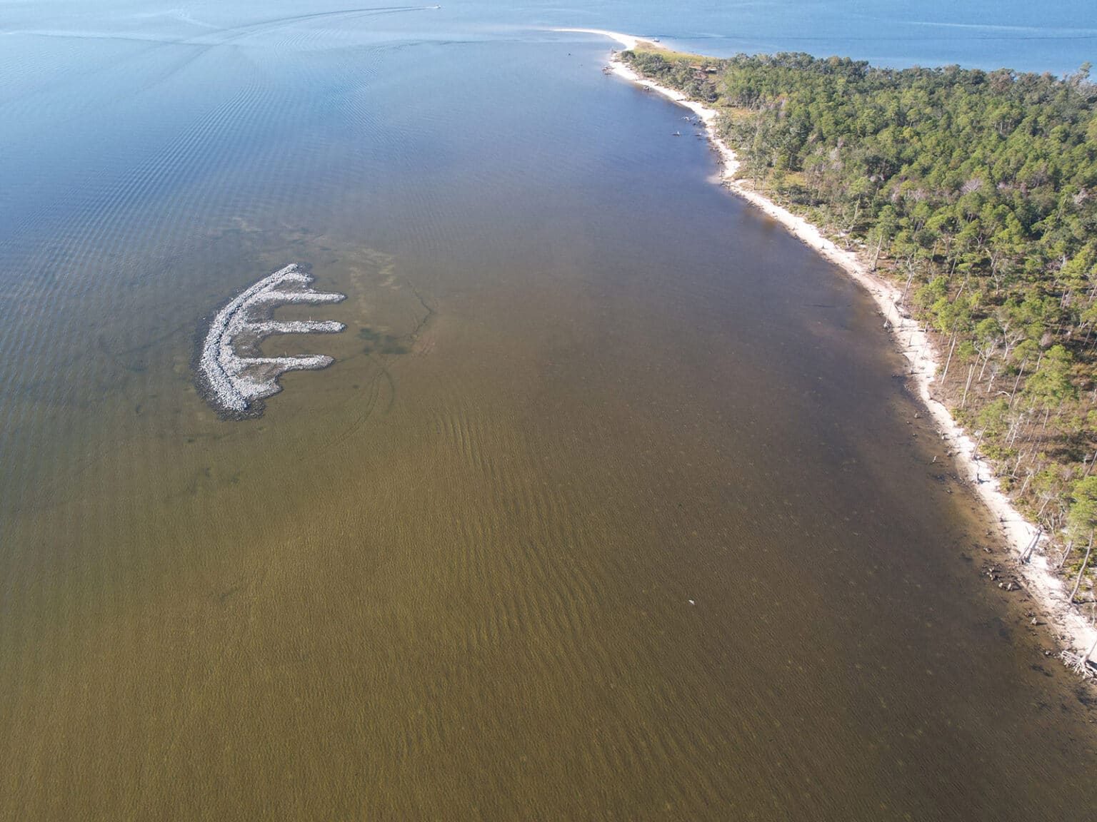 Building Oyster Reefs in Florida’s Panhandle