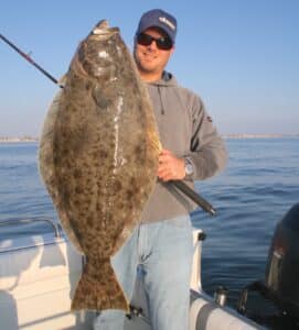California Halibut Limit Cut Significantly