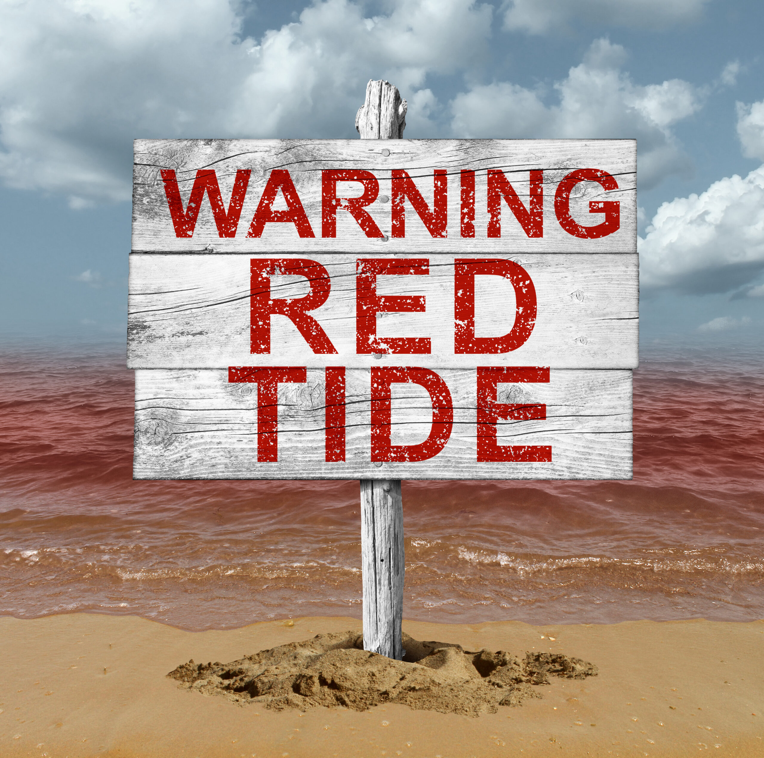 Red Tide Invades Florida — But What Is It?